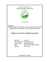 Đánh giá hiệu quả kinh tế cây dược liệu trên địa bàn xã Động Đạt  huyện Phú Lương  tỉnh Thái Nguyên (Khóa luận tốt nghiệp)
