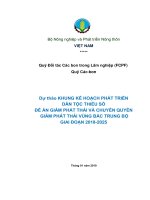 Dự thảo KHUNG KẾ HOẠCH PHÁT TRIỂN DÂN TỘC THIỂU SỐ ĐỀ ÁN GIẢM PHÁT THẢI VÀ CHUYỂN QUYỀN GIẢM PHÁT THẢI VÙNG BẮC TRUNG BỘ GIAI ĐOẠN 2018-2025