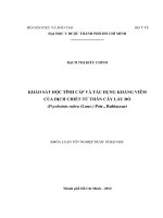 KHẢO sát độc TÍNH cấp và tác DỤNG KHÁNG VIÊM của DỊCH CHIẾT từ THÂN cây lấu đỏ