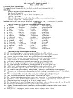 ĐỀ CƯƠNG ôn THI HK 2 – KHỐI 11 