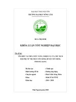 Tìm hiểu vai trò, chức năng, nhiệm vụ của cán bộ hội liên hiệp phụ nữ thị trấn Yên Minh  huyện Yên Minh  tỉnh Hà Giang (Khóa luận tốt nghiệp)