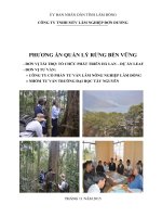PHƯƠNG ÁN QUẢN LÝ RỪNG BỀN VỮNG - ĐƠN VỊ TÀI TRỢ: TỔ CHỨC PHÁT TRIỂN HÀ LAN – DỰ ÁN LEAF - ĐƠN VỊ TƯ VẤN: + CÔNG TY CỔ PHẦN TƯ VẤN LÂM NƠNG NGHIỆP LÂM ĐỒNG