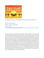 Trí tuệ đám đông vì sao đa số thông minh hơn thiểu số