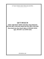 QUY HOẠCH TỔNG THỂ PHÁT TRIỂN THƯƠNG MẠI TỈNH HẢI DƯƠNG ĐẾN NĂM 2025, ĐỊNH HƯỚNG ĐẾN NĂM 2030