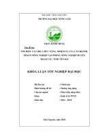 Tìm hiểu vai trò, chức năng, nhiệm vụ của cán bộ phụ trách nông nghiệp tại phòng nông nghiệp huyện trạm tấu – tỉnh yên bái 