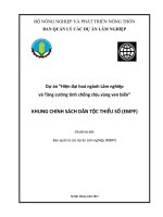 Dự án “Hiện đại hoá ngành Lâm nghiệp và Tăng cường tính chống chịu vùng ven biển” KHUNG CHÍNH SÁCH DÂN TỘC THIỂU SỐ (EMPF)