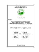 Đánh giá hiệu quả áp dụng mô hình trồng rau theo ứng dụng công nghệ cao trên địa bàn phường Huyền Tụng  thành phố Bắc Kạn  tỉnh Bắc Kạn (Khóa luận tốt nghiệp)