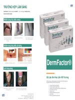 DermFactor VẬT LIỆU SINH HỌC LIỀN NHANH VẾT THƯƠNG MÃN TÍNH LOÉT BỆNH LÝ