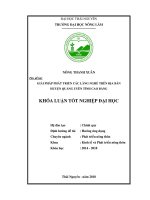 Giải pháp phát triển các làng nghề trên địa bàn huyện Quảng Uyên  tỉnh Cao Bằng (Khóa luận tốt nghiệp)