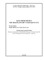 GIÁO TRÌNH MÔ ĐUN THU HOẠCH, SƠ CHẾ VÀ BẢO QUẢN LÚA NGHỀ TRỒNG LÚA NĂNG SUẤT CAO