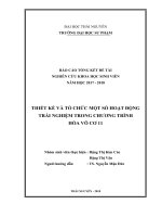 THIẾT KẾ VÀ TỔ CHỨC MỘT SỐ HOẠT ĐỘNG  TRẢI NGHIỆM TRONG CHƯƠNG TRÌNH  HÓA VÔ CƠ 11