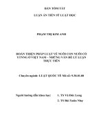 Tóm tắt luận án tiến sĩ luật học hoàn thiện pháp luật về nuôi con nuôi có yếu tố nước ngoài ở việt nam   những vấn đề lý luận và thực tiễn 