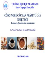 BÀI GIẢNG CÔNG NGHỆ CÁC SẢN PHẨM TỪ CÂY NHIỆT ĐỚI