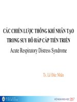 CÁC CHIӂN LƯỢC THÔNG KHÍ NHÂN TẠO TRONG SUY HÔ HҨP CҨP TIӂN TRIỂN Acute Respiratory Distress Syndrome