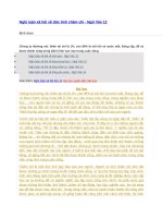 Nghị luận xã hội về đức tính chăm chỉ