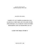 Nghiên cứu sự ô nhiễm escherichia coli và salmonella trên thịt lợn tươi, một số đặc tính sinh học của vi khuẩn và đề xuất biện pháp khống chế tại thành phố lào cai 