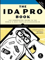 IDA pro book 