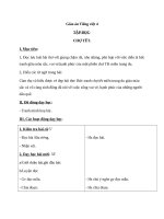 Giáo án Tiếng Việt 4 tuần 22 bài: Tập đọc  Chợ tết