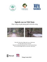 BÁO CÁO TỔNG QUAN Ngành cao su Việt Nam Thực trạng và giải pháp phát triển bền vững