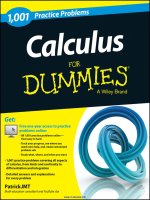 Calculus  1,001 practice problems for dummies 