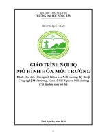 GIÁO TRÌNH NỘI BỘ MÔ HÌNH HÓA MÔI TRƯỜNG Dành cho sinh viên ngành Khoa học Môi trường, Kỹ thuật Công nghệ Môi trường, Kinh tế Tài Nguyên Môi trường