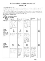 thi247 com   đề cương ôn tập HK2 ngữ văn 12 