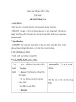 Giáo án Tiếng việt 4 tuần 21 bài: Bè xuôi sông La