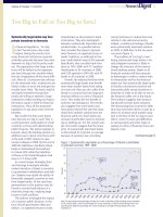 The phenomenon of toobigtofail and its impact on the financial stability