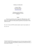 Basic knowledge of toobigtoofail