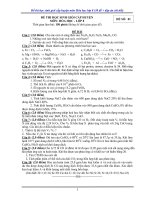 55 đề HSG hóa 8 9 có lời giải chi tiết