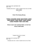 TIÊU CHUẨN HOÁ NGUYÊN LIỆU và điều CHẾ một vài DẠNG CHẾ PHẨM từ CON ONG