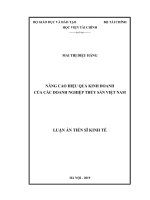 Luận án tiến sĩ kinh tế nâng cao hiệu quả kinh doanh của các doanh nghiệp thủy sản việt nam 