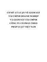 CƠ sở  lý LUẬN về GIÁM sát tài CHÍNH DOANH NGHIỆP và GIÁM sát tài CHÍNH CÔNG TY cổ PHẦN THEO PHÁP LUẬT VIỆT NAM 