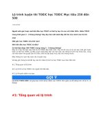 Lộ trình luyện thi TOEIC học TOEIC mục tiêu 250 đến 500