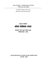 Giáo trình bào nâng cao (NXB hà nội 2008)   hoàng thanh tịnh, 68 trang 