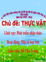 Giáo án tìm hiểu MOT SO LOAI RAU