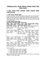 CHIẾN lược CHÍNH SÁCH CHƯƠNG  (6) 