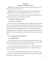 Giáo trình công nghệ chế biến thịt cá phần 2 