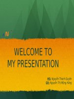 BÁO cáo THỰC tập tốt NGHIỆP CÔNG TY PHƯƠNG NAM FPT TELECOM