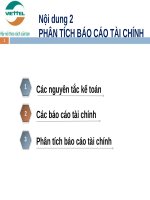 Nội dung 2 phân tích BCTC 