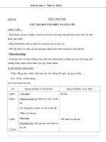 Giáo án Tiếng Việt 4 tuần 21 bài: Tập làm văn  Cấu tạo bài văn miêu tả cây cối