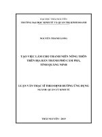 Tạo việc làm cho thanh niên nông thôn trên địa bàn thành phố Cẩm Phả, tỉnh Quảng Ninh (Luận văn thạc sĩ)