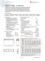 Chi tiết lắp ráp và cấu tạo Ắc quy CGT12 100x
