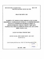 Nghiên cứu định lượng riboflavin natri phosphat natrazolin nitrat clorpheniramin maleat pyridoxin hydroclorid và dexphanthenol trong thuốc nhỏ mắt naphacollyre b   complex bằng sắc ký lỏng hiệu năng cao 