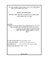 Nghiên cứu hoàn thiện công nghệ bảo quản, tẩy nấm mốc gây biến màu gỗ thông mã vĩ (pinus massoniana lamb) ở lạng sơn, phục vụ sản xuất đồ mộc tiêu dùng trong nước và xuất khẩu 