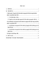 Bài tập học kỳ hôn nhân và gia đình