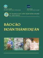 Báo cáo hoàn thành dự án khoa học công nghệ nông nghiệp   khoản vay số 2283 VIE (SF) 