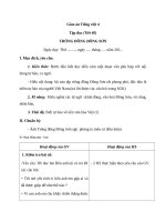 Giáo án Tiếng Việt 4 tuần 20 bài: Tập đọc  Trống Đồng Đông Sơn