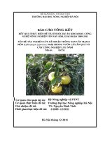 Nghiên cứu kỹ thuật trồng xen cây mạch môn trong vườn cây ăn quả và cây công nghiệp lâu năm 