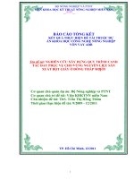 nghiên cứu xây dựng quy trình canh tác đay sản xuất bột giấy phục vụ cho vùng nguyên liệu ở đồng tháp mười 